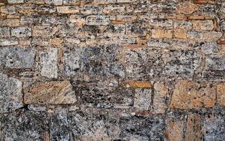 Brick wall of yellow shell rock. Closeup of shellstone texture. Background wall with shell rock. Texture limestone. Old wall. photo