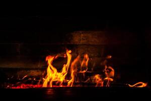 firewood burning fire on a black background photo