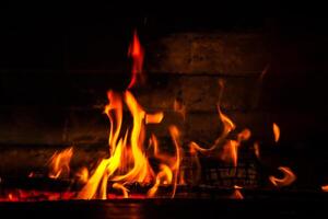 firewood burning fire on a black background photo