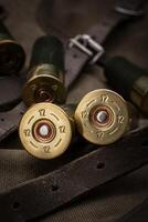 Shotgun shells close-up. Ammunition for smoothbore weapons on a khaki canvas backpack. Dark background. photo