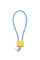 Locks and keys used to safely secure a firearm from being used. Weapon cable lock. photo