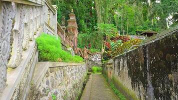 Serene Pathway Through Tropical Garden video