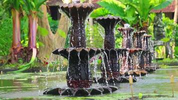 Tranquil Garden Fountains with Cascading Water video