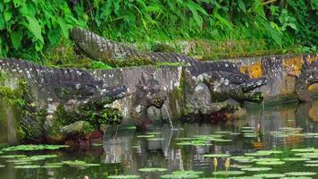 Mythical Creatures Fountain in Tranquil Pond video