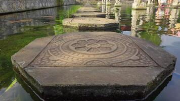 Tranquil Stone Pathway Across a Pond video