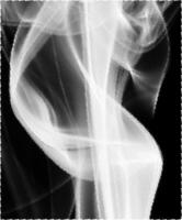 Abstract White Smoke Texture Moves on Black Background Plume of Smoke Wave Design Wallpaper. Design Element. Abstract Texture photo