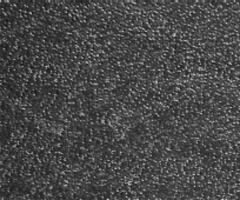 Natural Leather Structure Material Abstract Texture Background For Design Natural Color Skin Material Fashion Design Wallpaper. Black Wall Texture Background For Graphic Design And Web Design. photo