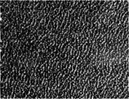 Natural Leather Structure Material Abstract Texture Background For Design Natural Color Skin Material Fashion Design Wallpaper. Black Wall Texture Background For Graphic Design And Web Design. photo