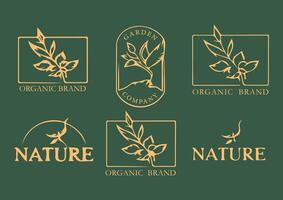 Elegant Natural and Organic Logo Designs in Golden Hue vector