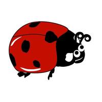 a ladybug with black spots and a red body vector
