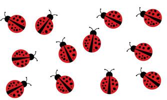 ladybug. dotted or polka dot pattern. Let spring begin. ladybug sign represents protection, resistance, luck and prosperity, but also symbol of senseless violence. on transparent background vector