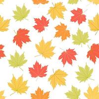 Maple leaf color seamless pattern background vector