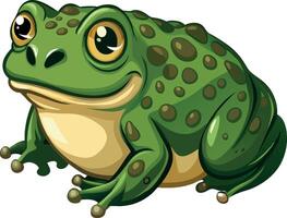 Big green toad smiling and resting on white background vector