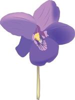 Violet flower with stem on white background - vector