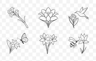 Print Tuberose Flower Line Art Set Elegant Botanical Illustrations for Design Projects and Artworks vector