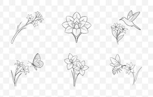 Print Tuberose Flower Line Art Set Elegant Botanical Illustrations for Design Projects and Artworks vector