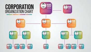 This is an organization chart template designed for businesses. It features a clear hierarchical structure with multiple levels, allowing you to easily visualize the relationships between different vector