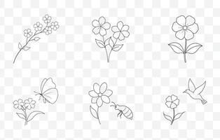 Print Creeping Phlox Flower Line Art Set with Detailed and Elegant Floral Illustrations vector