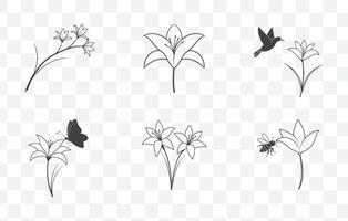 Print Zephyranthes Rain Lily Flower Line Art Set Elegant and Detailed Illustrations of Rain Lily Floral Designs for Creative Projects vector