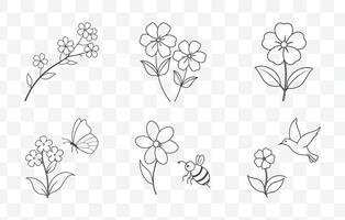 Print Creeping Phlox Flower Line Art Set with Detailed and Elegant Floral Illustrations vector