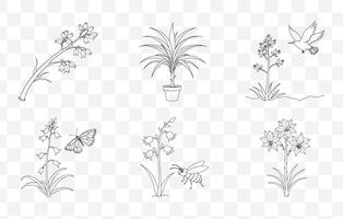 Print Yucca Flower Line Art Set for Digital Design and Illustration High-Quality Artwork vector