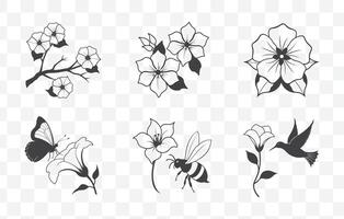 Print Four OClock Flower Line Art Set for Graphic Design and Illustration, Beautiful and Elegant Floral Artwork vector