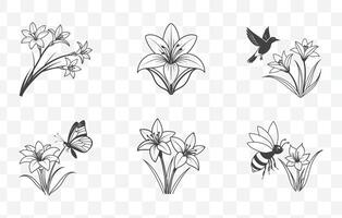 Print Zephyranthes Rain Lily Flower Line Art Set Elegant and Detailed Illustrations of Rain Lily Floral Designs for Creative Projects vector