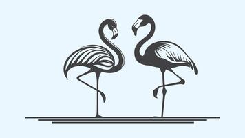 Two flamingos. illustration of a pair of flamingos. vector