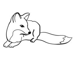Fox coloring page, a predatory animal for creativity or design vector