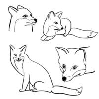 Set of outline fox portraits and sitting animals, cute predator for creativity or design vector