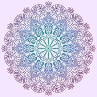Colorful mandala background vector