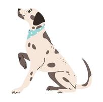 Flat illustration of a Dalmatian dog. Illustration of a happy Dalmatian with a wagging tail vector