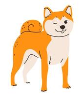 Flat illustration of a Shiba Inu dog. Breed's foxlike appearance and fluffy red coat vector