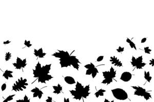 Autumn leaves falling silhouettes background. Black fall leaves random falling on white background vector