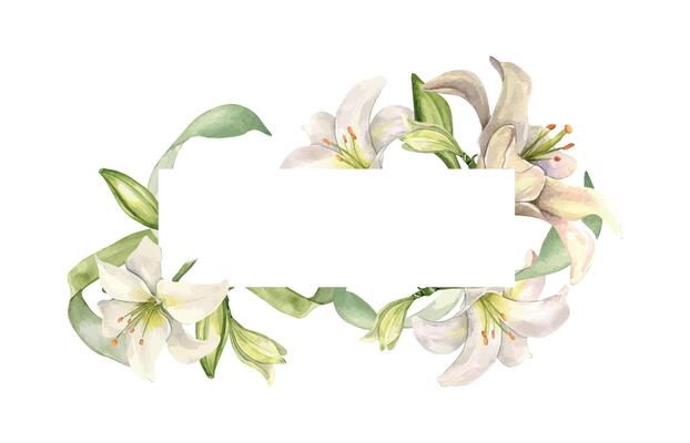 White lily and buds watercolor isolated on white. Frame of flowers pastel color botanical art hand drawn. Border with lily and leaves. Design for wedding invitation in church, christen, Easter card