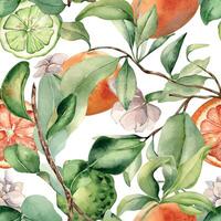 Foliage with assorted citrus fruits and white flowers watercolor seamless pattern isolated on white. Hand drawn grapefruit in botanical sketch style. Jasmine and green bergamot for package, print. vector