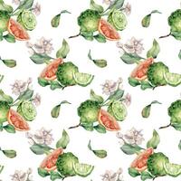 Jasmine branch and ripe fruits watercolor seamless pattern isolated on white. Bergamot and grapefruit drawing. Floral summer print with slices citrus hand drawn for packaging, wrapping paper, textile. vector