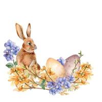 Easter arrangement of yellow spring flowers and watercolor bunny isolated on white. Floral composition with eggs and hare. Blooming forsythia branch hand drawn. Sketch rabbit for greeting card. vector