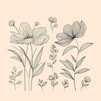 Minimalistic line art floral illustration on a soft beige background, featuring elegant black outlines of flowers and leaves. Graphic design, wall art, or as a botanical motif vector