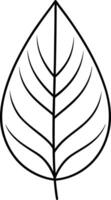 Enjoy hours of coloring fun with our hand drawn Leaf illustration coloring book for children vector