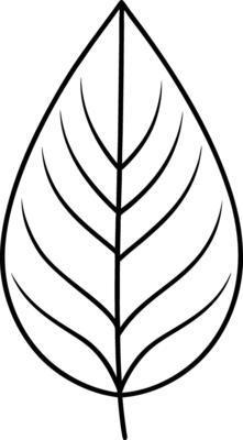 Enjoy hours of coloring fun with our hand drawn Leaf illustration coloring book for children