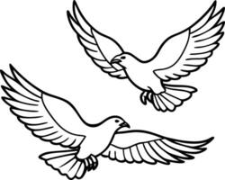 dove with wings for peace vector