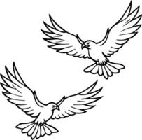 dove with wings vector