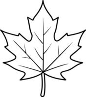 maple leaf icon vector