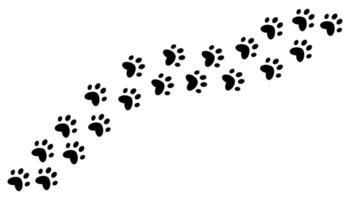 The trail of a pet's paw prints. Silhouette of a kitten's paw. Puppy's footprint, tiger's paw print. The outline of a cat's stride. Isolated on a white background. vector