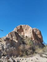 a large rock with a tree on top of it photo