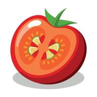 sliced tomato illustration vector