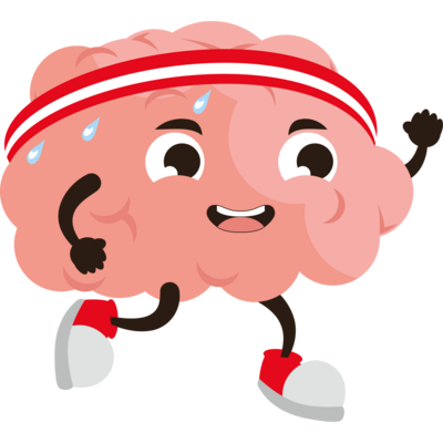 Brain PNGs for Free Download