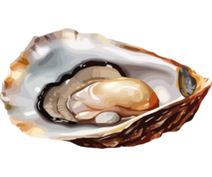 An open oyster shell with a shell inside png