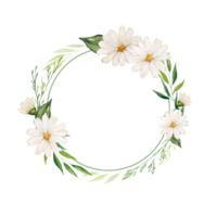 Watercolor round frame with chamomile flowers and greenery. Frame with space for text, composition of daisy flowers. Invitation, congratulation, postcard, packaging. png